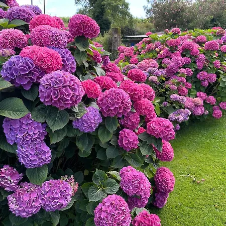 Bed and breakfast Canterou 3*