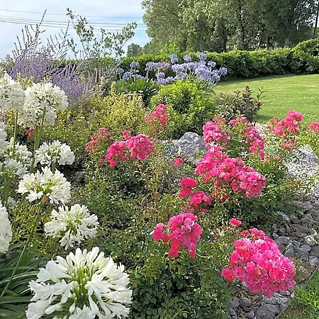 Canterou Bed and breakfast