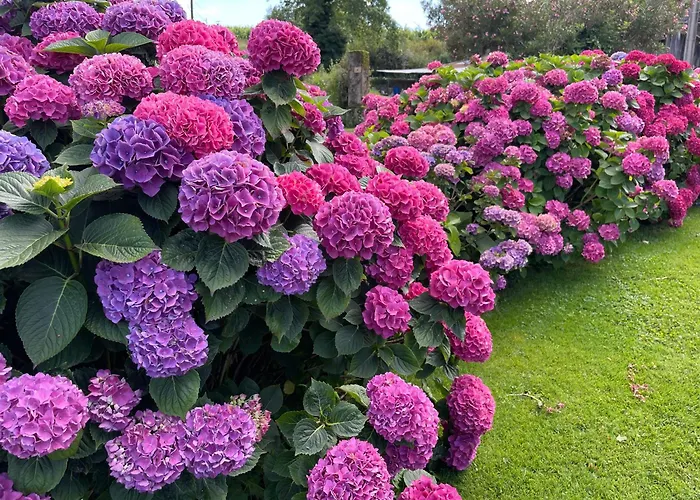 住宿加早餐酒店 Canterou 3*